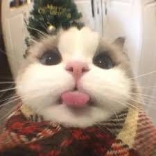 มิตร ชัยบัญชา avatar